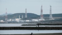 Япония ще пусне отново най-голямата ядрена централа в света през тази година