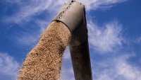 Основен руски търговец на зърно обвини Москва в надуване на цените