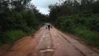 Умните пари в суровините залагат на тропиците