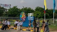       COP16  