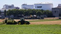 BASF може да листне на борсата подразделението си за агрохимикали 