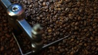 , Bug Coffee:      ,    