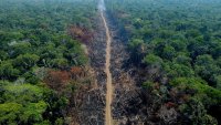 Доклад описва вредния подход на Уолстрийт към Амазония