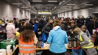 От пицарии до стартъпи, украинските бежанци навлизат на европейския пазар на труда