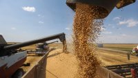 Русия засилва контрола върху зърното, точно когато цените на пшеницата скачат