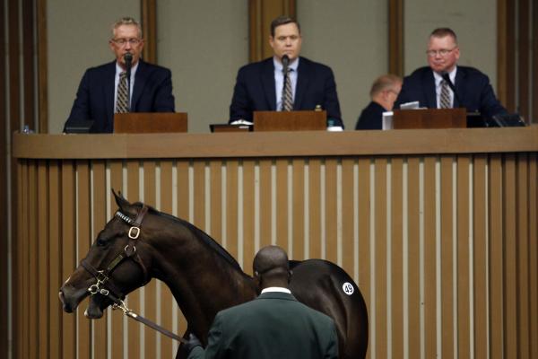 <p>Едногодишен чистокръвен състезателен кон на търг в Keeneland Racecourse, Лексингтън, Кентъки, САЩ. 12 септември 2016. Photographer: Luke Sharrett/Bloomberg.</p>
