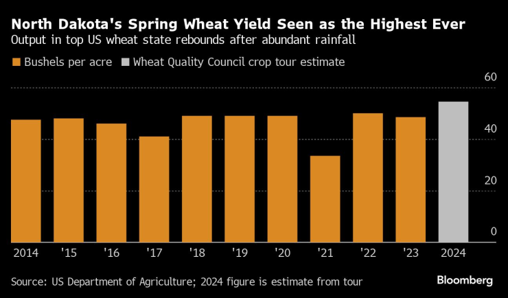 Commodity Markets