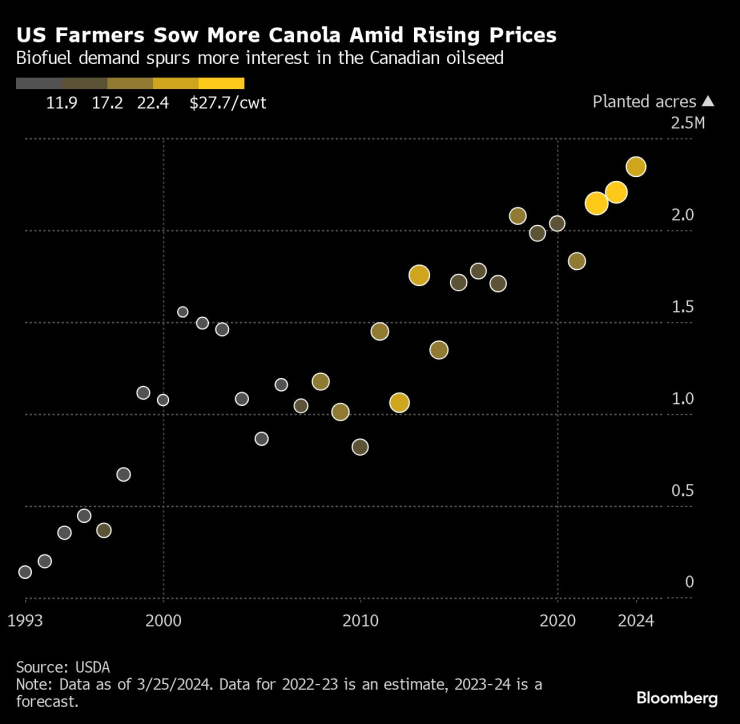 Commodity Markets