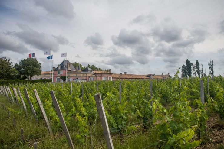 French Vineyards